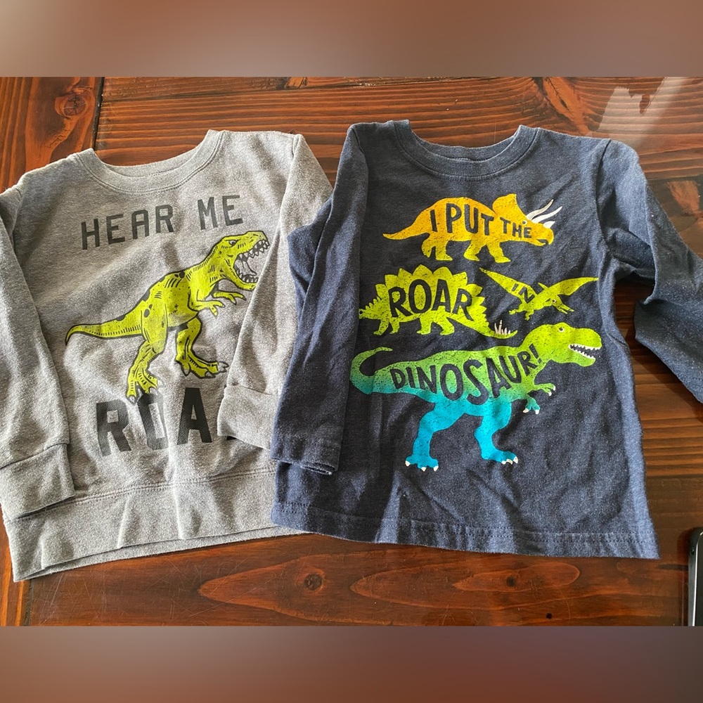Toddler/kids 3T Sweatshirt & Long Sleeve Dinosaur Tee Bundle